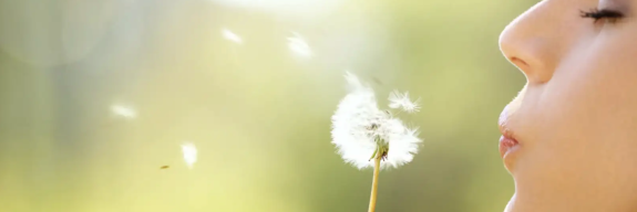 blog Maya Onken Inspiration